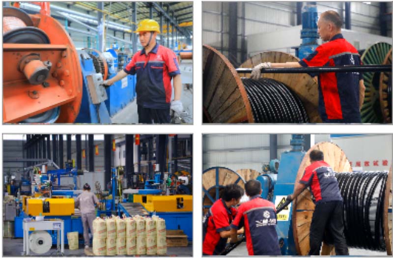 welcome海洋之神_官方网站